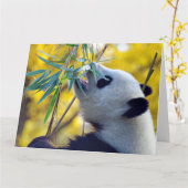 パンダベア食べ物ーの竹 カード (黄色い花)