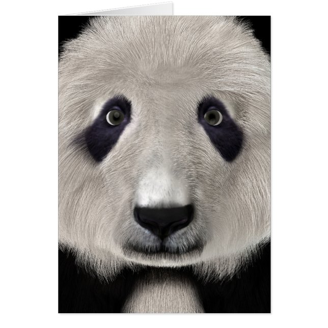 パンダベア (正面)