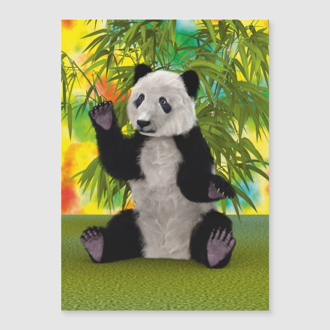 パンダベア (正面)