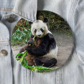 パンダベア1 缶バッジ (インサイチュ)