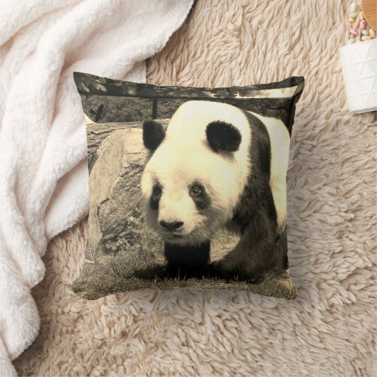 パンダベア クッション (ブランケット)