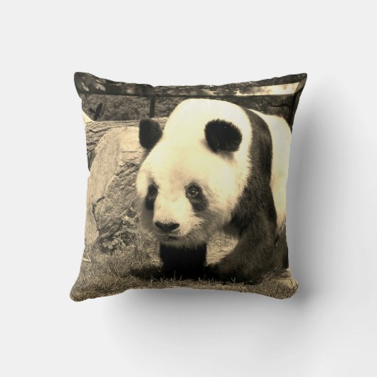 パンダベア クッション (裏面)