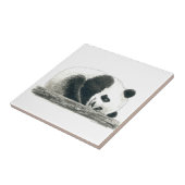 パンダベア タイル (側面)