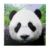 パンダベア タイル (正面)