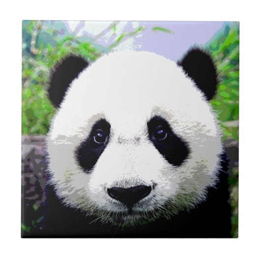 パンダベア タイル (正面)