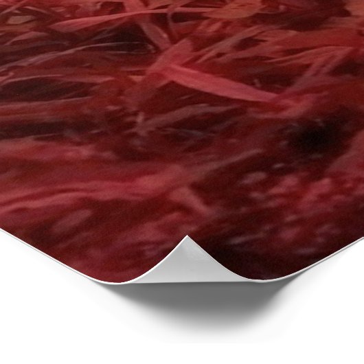 パンダベア ポスター (角)