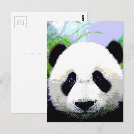 パンダベア ポストカード (正面/裏面)