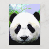 パンダベア ポストカード (正面)