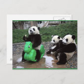 パンダベル ポストカード (正面/裏面)