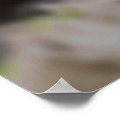 パンダランチポスター ポスター (角)