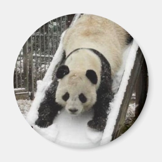 パンダ磁石 マグネット (正面)