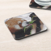 パンダ赤アニマルプリントかわいい コースター (左側)