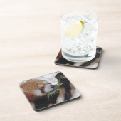 パンダ赤アニマルプリントかわいい コースター (右側)