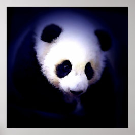 パンダ顔ポスター – パンダポスタープリント ポスター