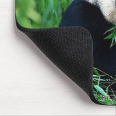 パンダ食べの葉 マウスパッド (コーナー)