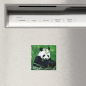 パンダ食べの葉 マグネット (インサイチュ (食洗機))