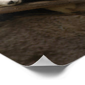 パンダ003 ポスター (角)