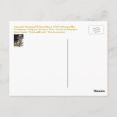 パンダ04 * Panda-Kunst-Postkarte * Panda-Postkarte ポストカード (裏面)