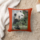 パンダ、あなたのテキスト、オレン無地のジバックスクエア クッション (ブランケット)