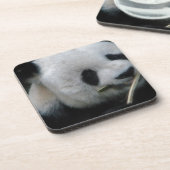 パンダ コースター (左側)