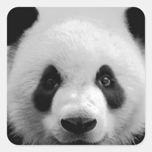 パンダ スクエアシール (正面)