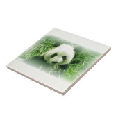 パンダ タイル (側面)