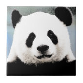 パンダ タイル (正面)