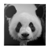パンダ タイル (正面)