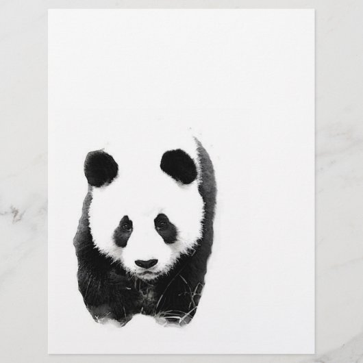 パンダ フライヤー (正面)