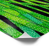 パンダ - ポスター印刷 ポスター (コーナー)