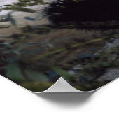 パンダ ポスター (角)