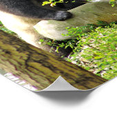 パンダ ポスター (角)