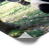 パンダ ポスター (角)