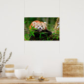 パンダ ポスター (キッチン)