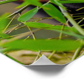 パンダ ポスター (角)