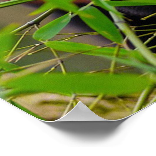 パンダ ポスター (角)