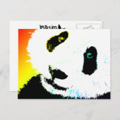 パンダ ポストカード (正面/裏面)