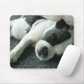 パンダ マウスパッド (マウス)