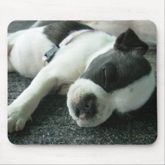 パンダ マウスパッド