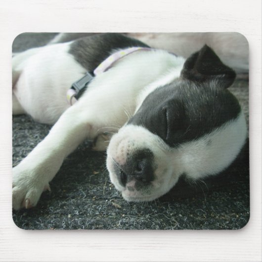 パンダ マウスパッド (正面)