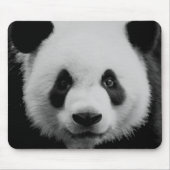 パンダ マウスパッド (正面)