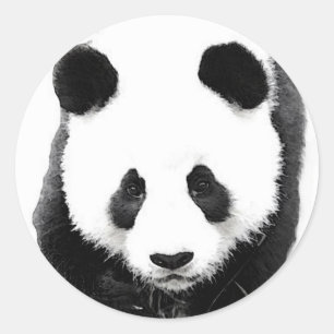 パンダ ラウンドシール