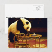 パンダ、上海サーカス、中国 ポストカード (正面/裏面)