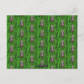 パンダ（模様） – はがき シーズンポストカード (正面)