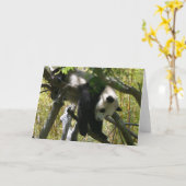 パンダ#4 カード (黄色い花)