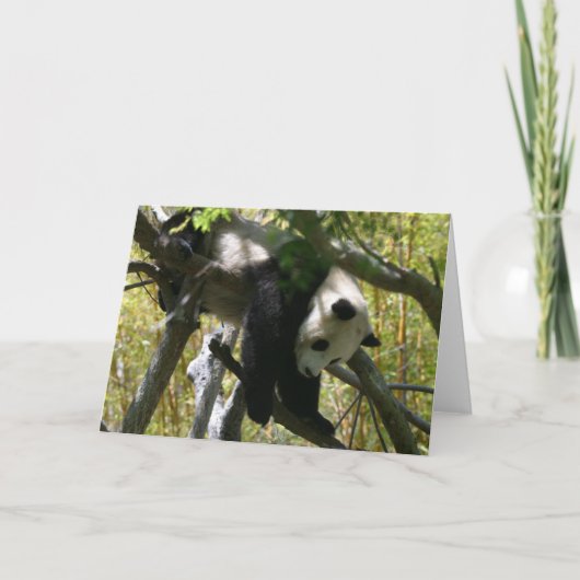 パンダ#4 カード (正面)
