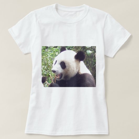 パンダ Tシャツ (デザイン正面)