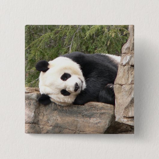 パンダPin 缶バッジ (正面)