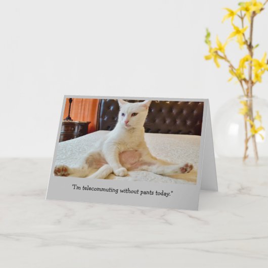 パンツおもしろいなしの猫の在宅勤務 カード (黄色い花)