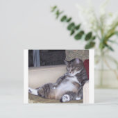 パンツもしかブラジャーが… ポストカード (スタンド正面)